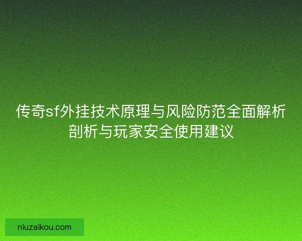 传奇sf外挂技术原理与风险防范全面解析剖析与玩家安全使用建议